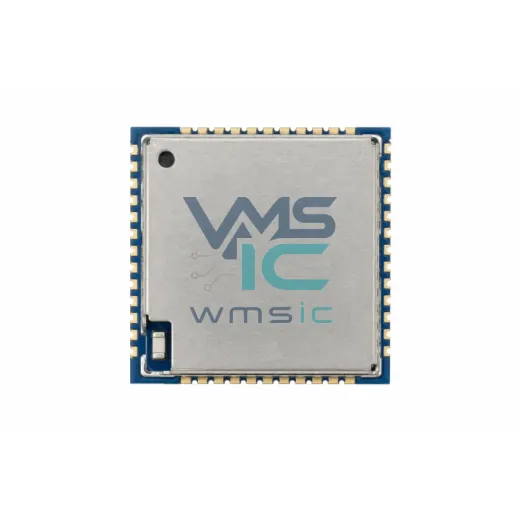 BGM113A256V21R SMD-36P