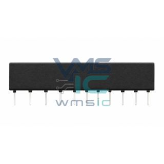 NSR060A0X43Z Converter Power Module NSR060A0X43Z SIP 65.5x11.6mm Package