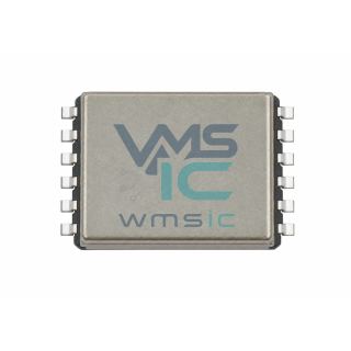 R2S12-243.3/P Isolated Converter Module R2S12 SMD-10P 15.2x10.7mm Package