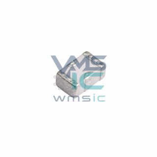 Chip LC EMI Filter Module NFL21SP106X1C3D SMD-3P 2x1.2mm Package
