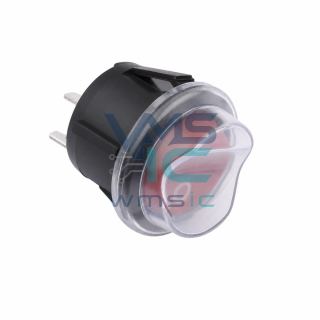 Standard Rocker Switch RT-S02-113-R42BR Through Hole 21.1x20.2mm