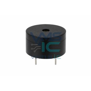 PKB24SPCH3601-B0 Audio Indicator and Buzzer PKB24SPCH3601 Through Hole D 24.3mm Package