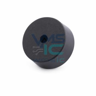 Passive Piezo Buzzer 4kHz GPC1205YB-5V4000 GPC1205YB Through Hole D12xL5.5mm Package