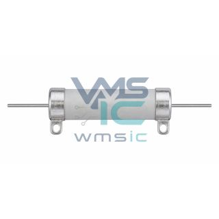 High Power Wirewound Resistor RBEF0050R1000KFB00 Through Hole D19xL50.8mm Package