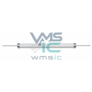 High Power Wirewound Resistor RBEF050033R00KGB00 Through Hole D41.3xL266.7mm Package