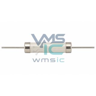 40mOhm plus minus 1 percent 7W Resistor 17FPR040E Through Hole D9.5xL38.1mm Package