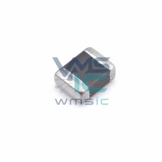 22uH+/- 30% 340mA SMD Power Inductor AWVC00201610220T00 0806 Package