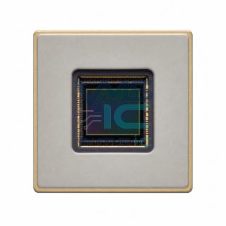 NOIX1SE012KBLFB-GEVB Image Sensor Evaluation Board NOIX1SE012KBLFB CLGA-163 Package